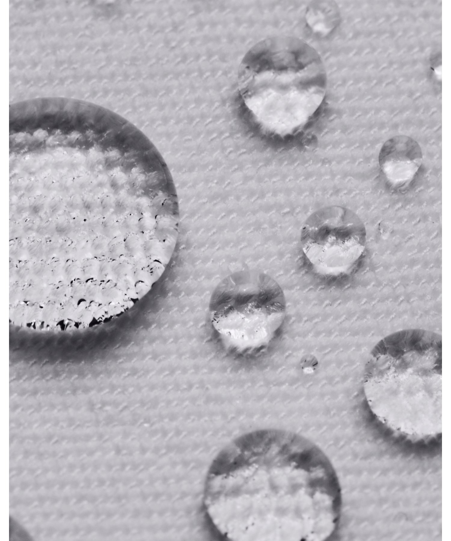 UANX E[u XR[giSt/WOMENj