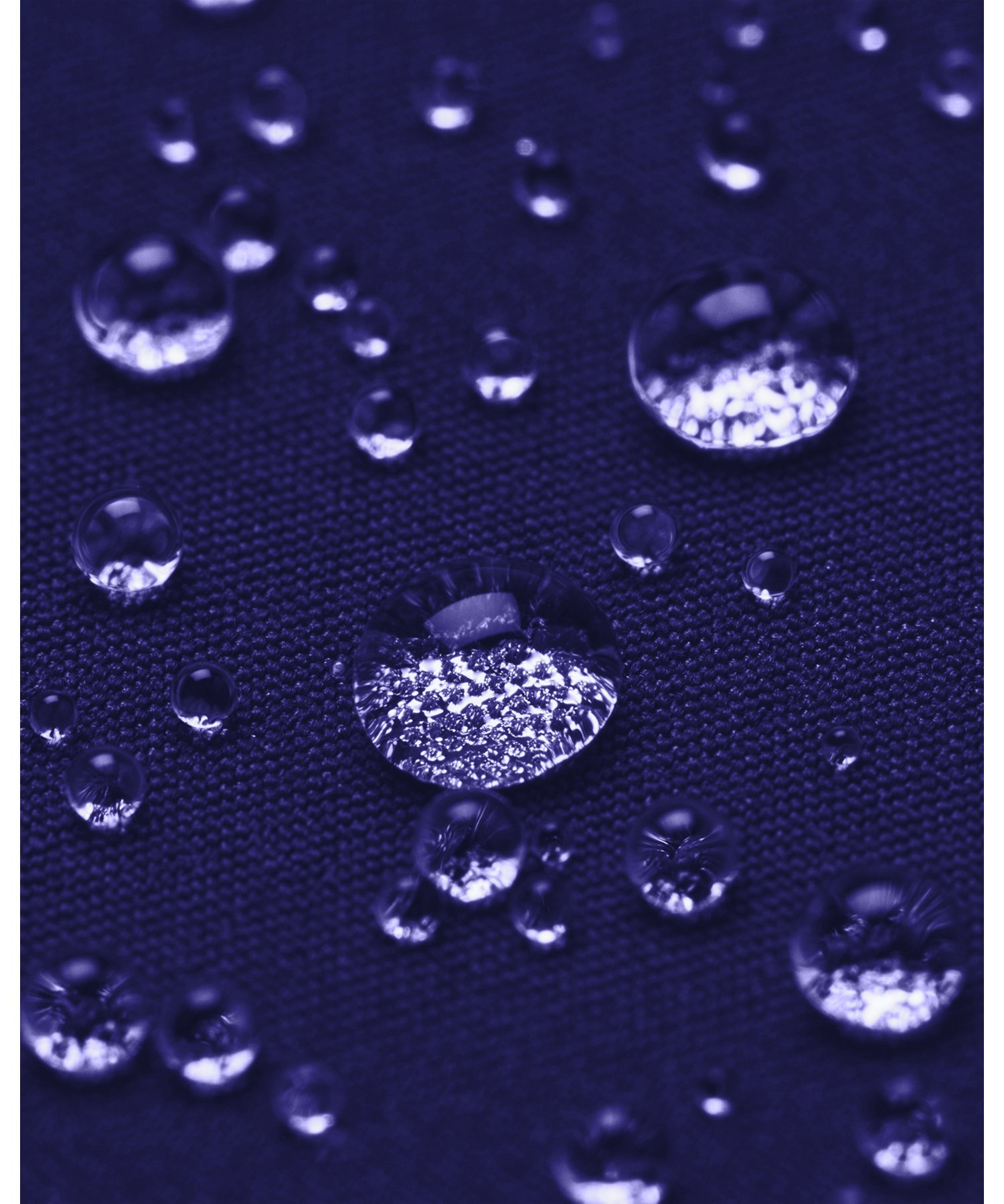 UANX E[u XR[giSt/WOMENj