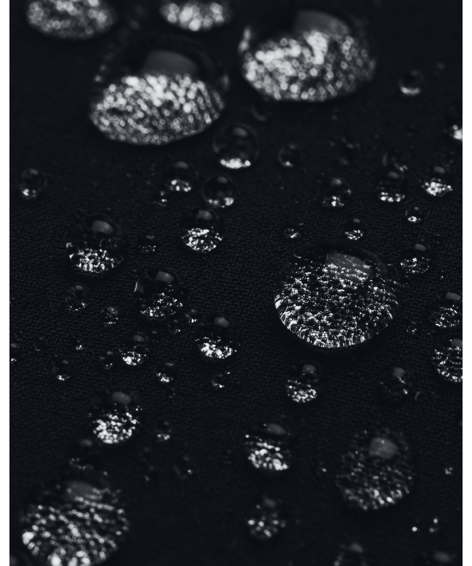 UAXg[ ZbV nCubh WPbgig[jO/WOMENj