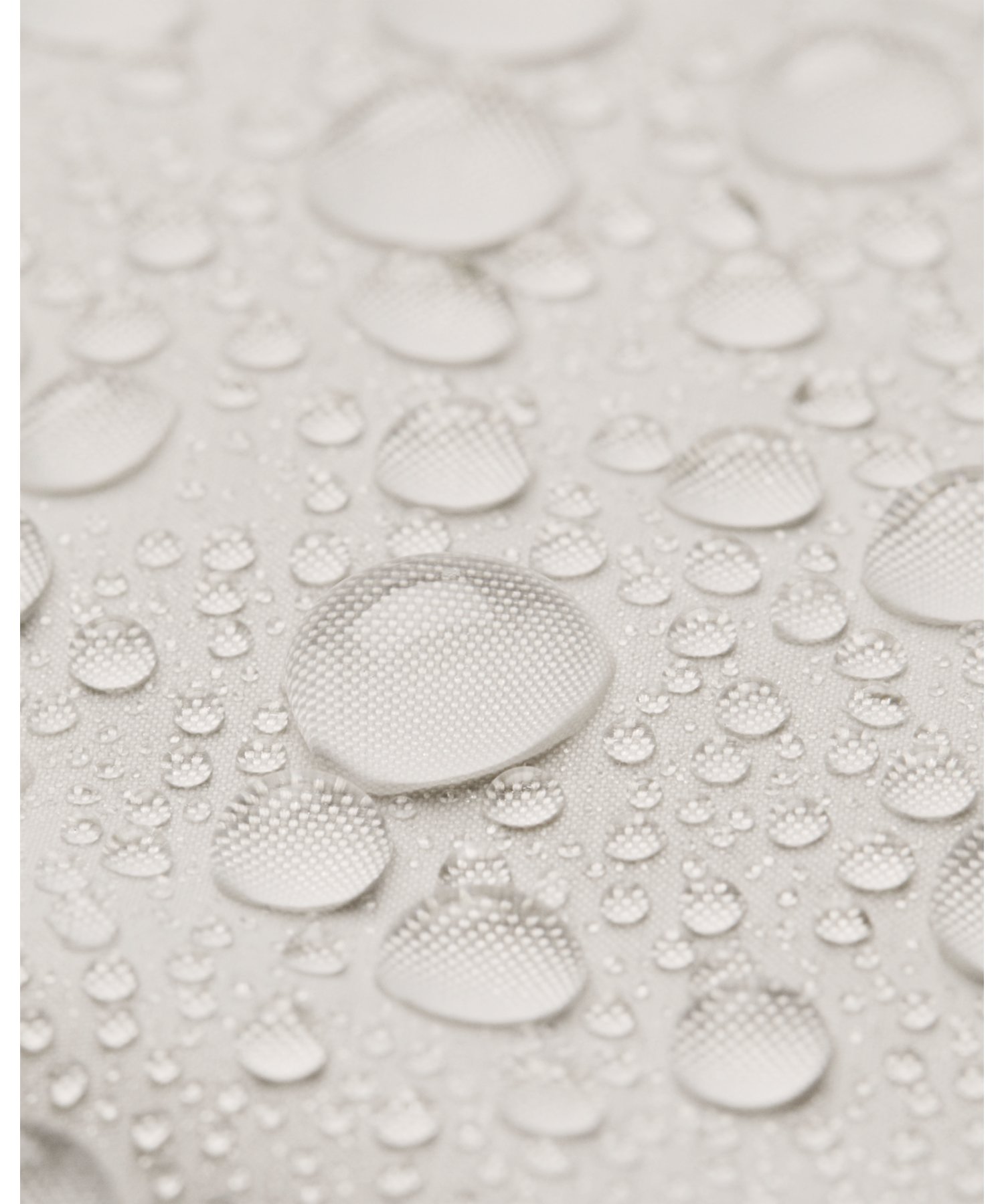 UAR[hMACtbh _E pbt@[ t[fBig[jO/WOMENj