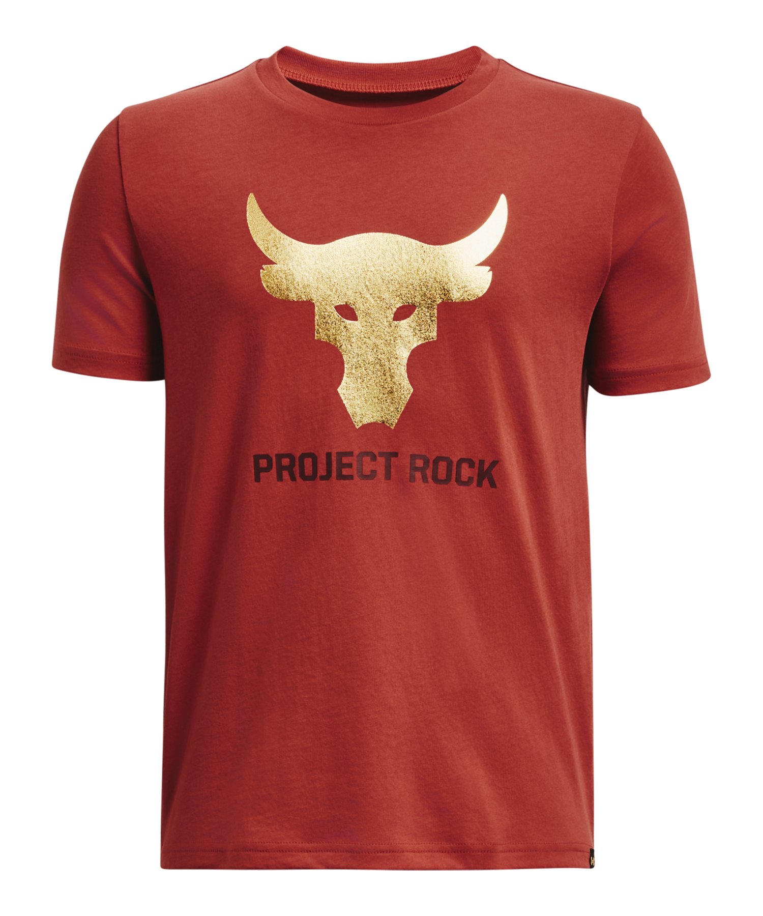UAプロジェクトロック ブラフマ ブル ショートスリーブTシャツ（トレーニング/BOYS）