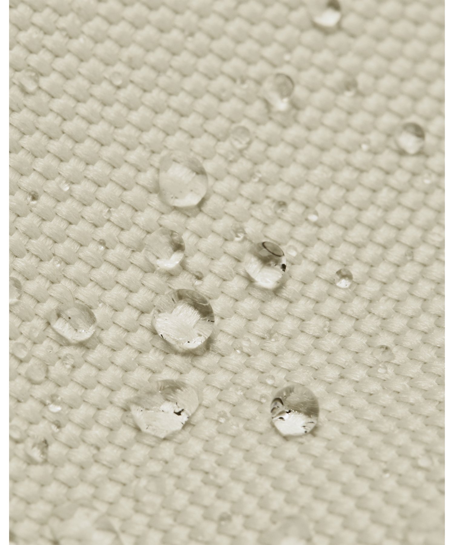 UA[h EGXgobO NX{fBig[jO/UNISEXj