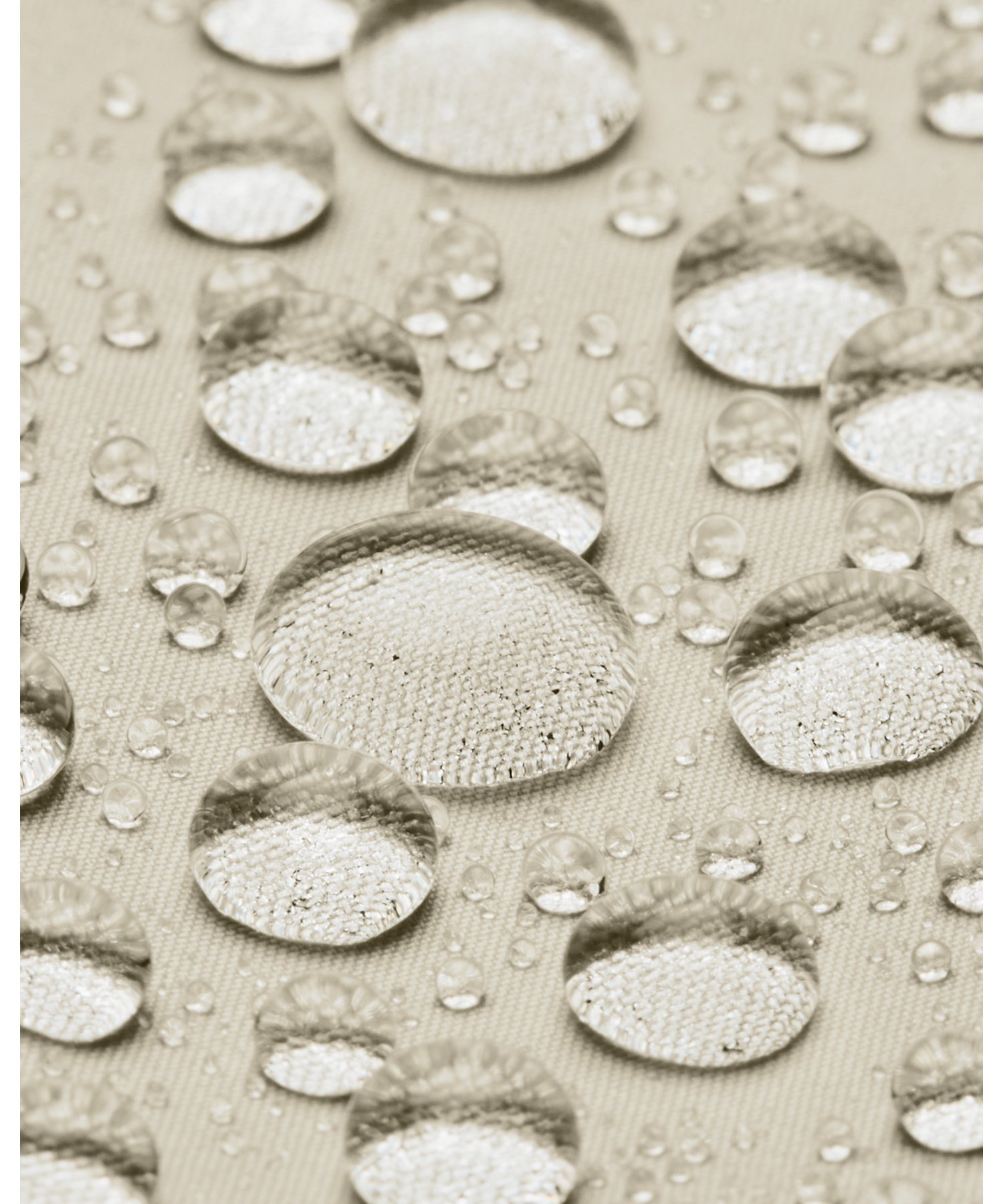 UAbV E[u tWbv t[fB[ig[jO/MENj