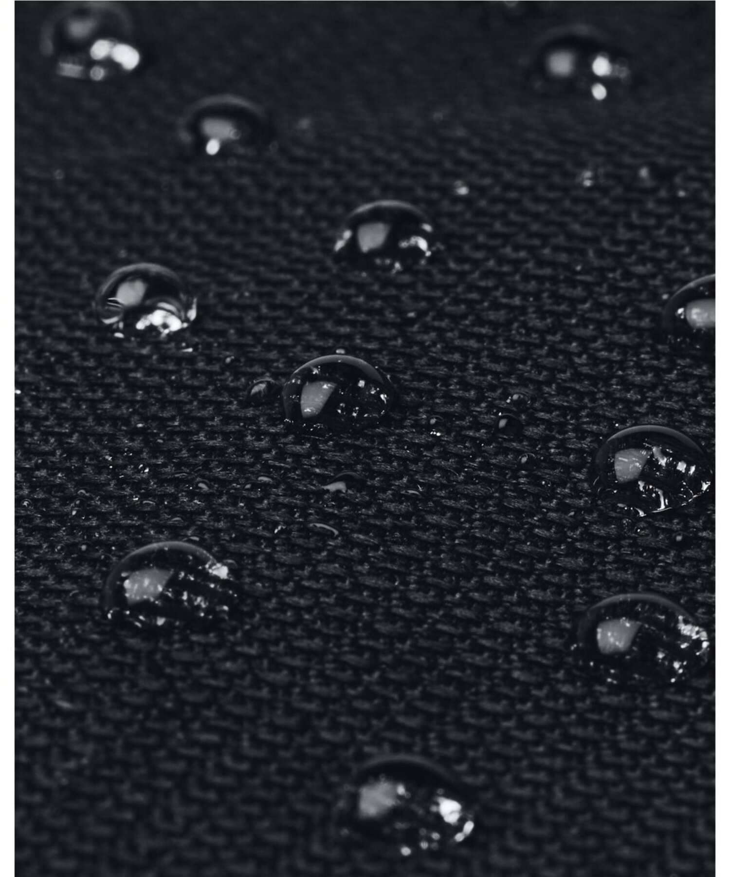 UAgCAt [eBeB[ g[gobOig[jO/UNISEXj