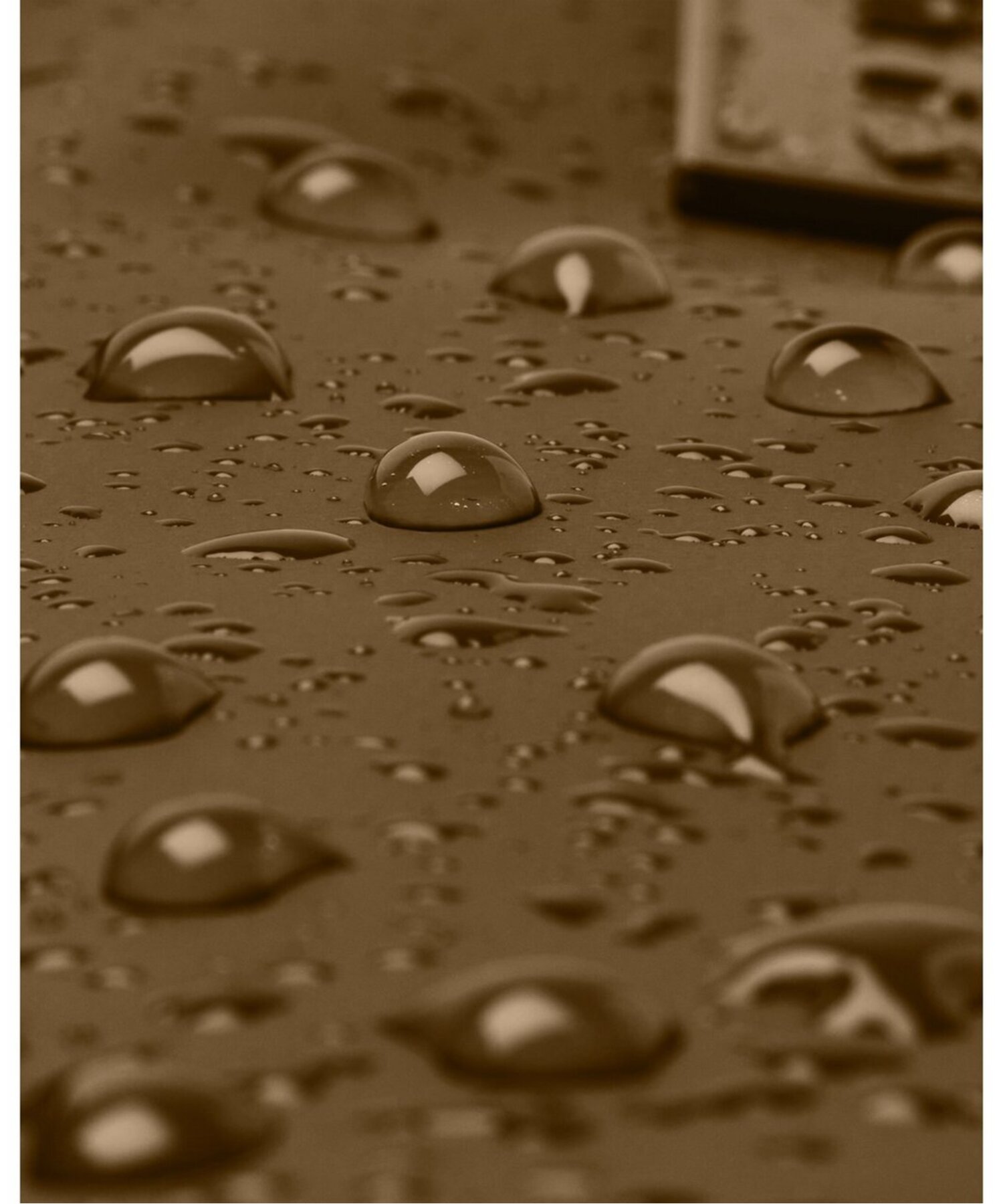 UAgCAt NX{fBiCtX^C/UNISEXj