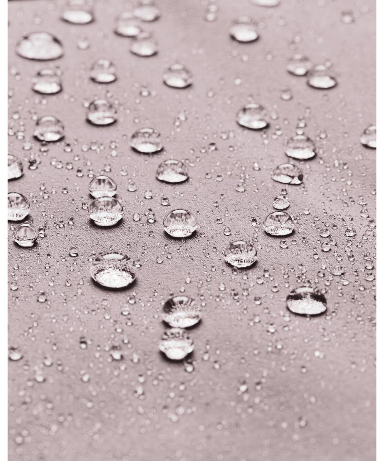 UAhCu v Xg[ nCubh 1/2Wbv WPbgiSt/MENj