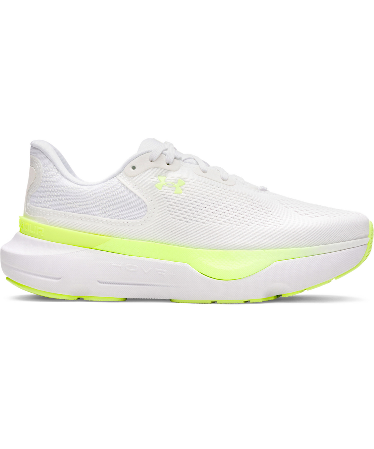 UACtBjbgv2ijO/WOMENj