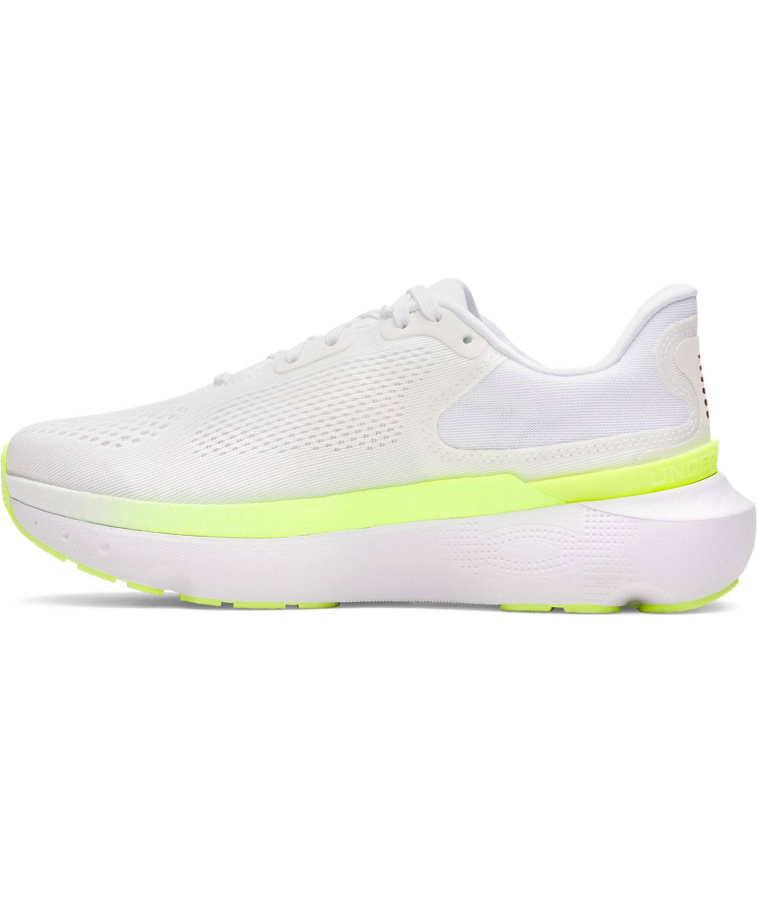 UACtBjbgv2ijO/WOMENj