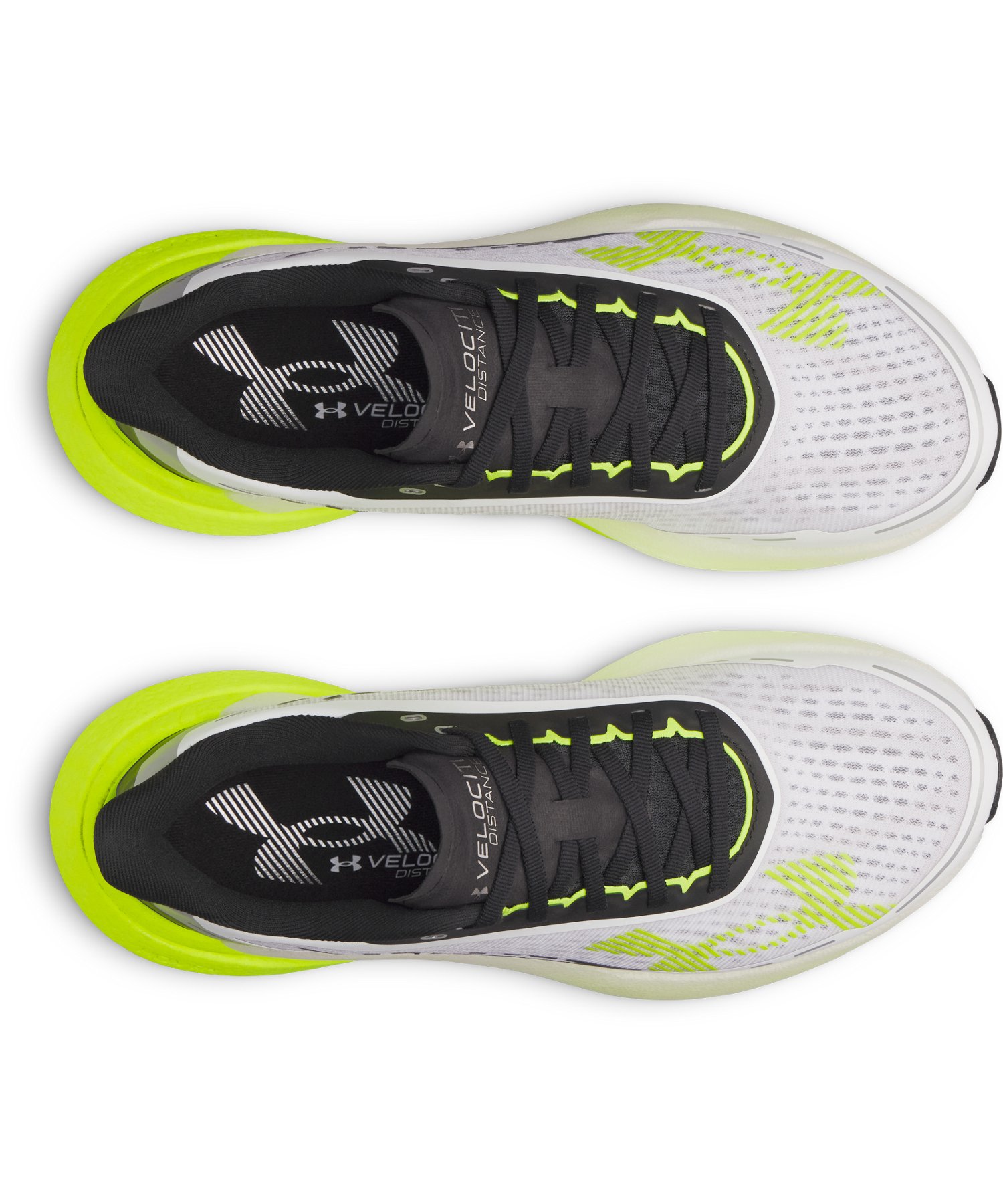 UA�x���V�e�B �f�B�X�^���X�i�����j���O/MEN�j