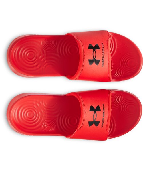 UACOiCg ZNgig[jO/MENj