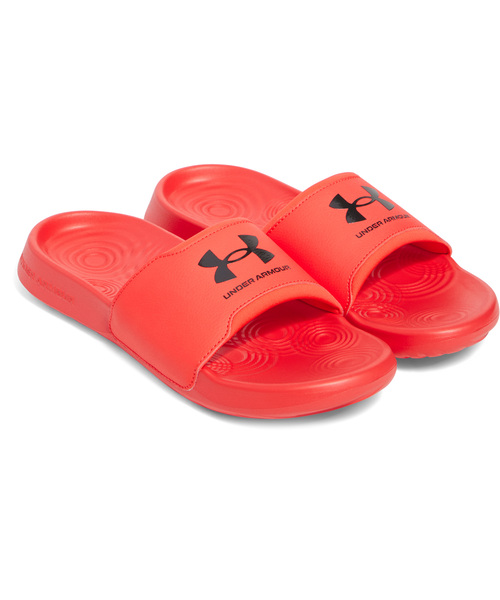 UACOiCg ZNgig[jO/MENj