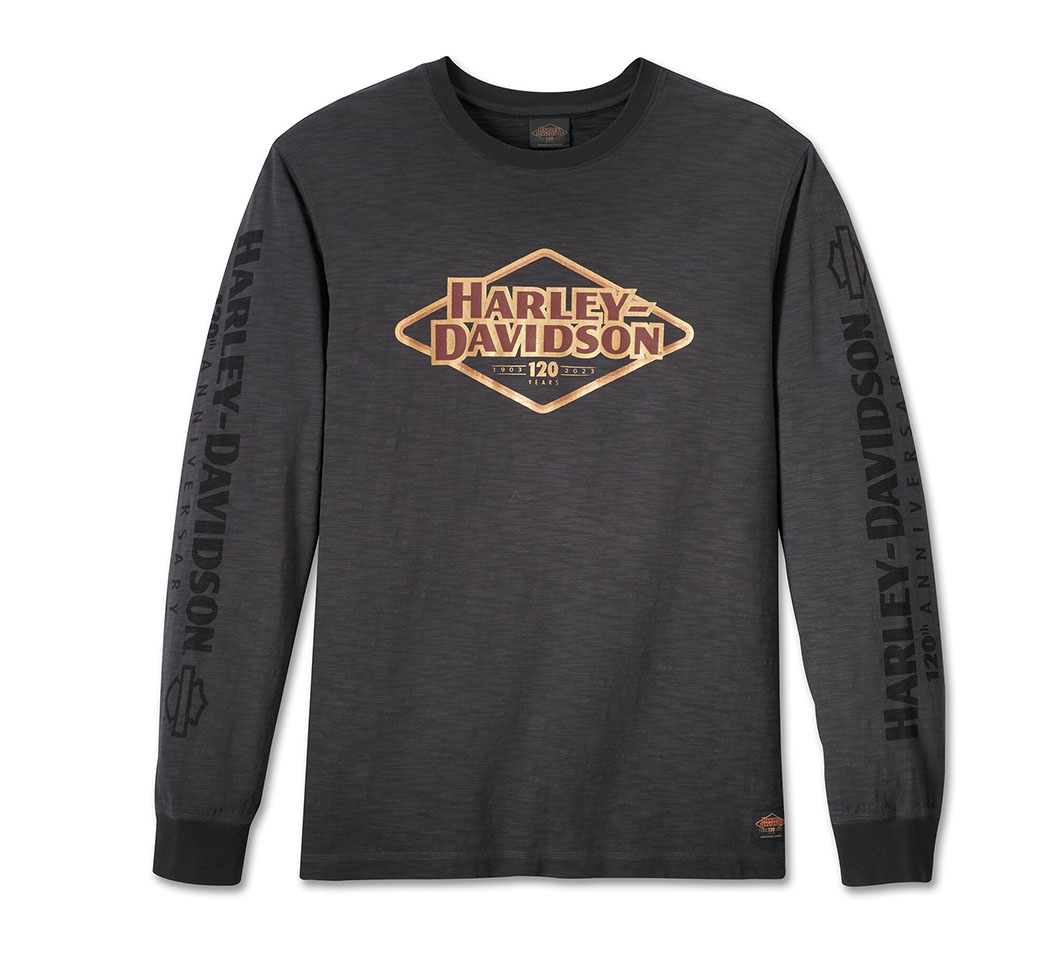 ハーレーダビッドソン Harley-Davidson 両面プリント モーターサイクル バイクTシャツ メンズM /eaa354814不明年代