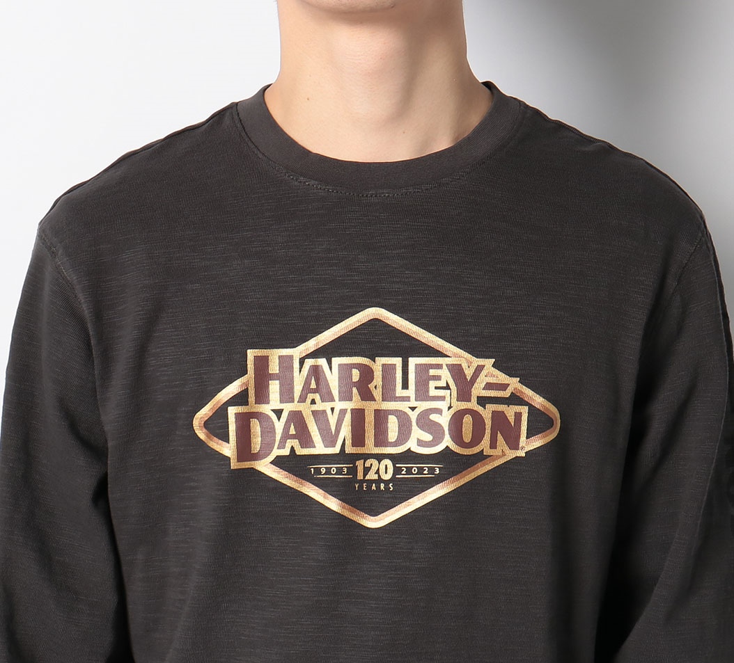 ハーレーダビッドソン Harley-Davidson 両面プリント モーターサイクル バイクTシャツ メンズM /eaa354814不明年代
