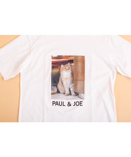 ネコ特集 Paul Joe 公式オンラインショップ ポール ジョー 公式通販