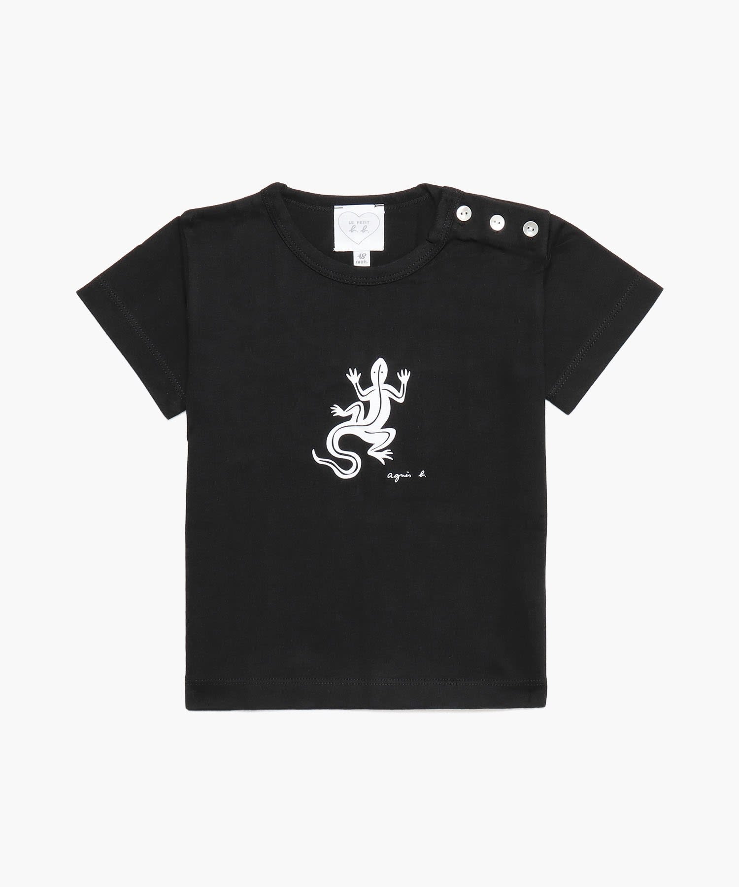 SF64 L TS ベビー レザールTシャツ
