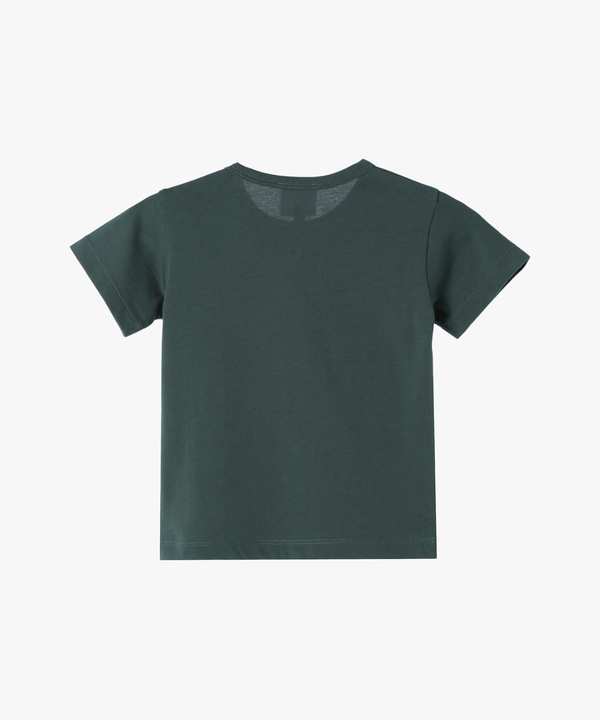 �x�r�[ ���S �R�b�g�� ���� T�V���c 