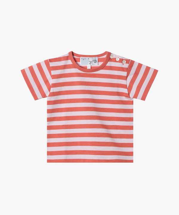 �x�r�[ �׃{�[�_�[ �R�b�g�� ���� T�V���c 