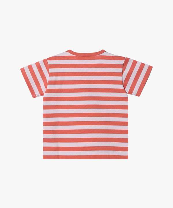 �x�r�[ �׃{�[�_�[ �R�b�g�� ���� T�V���c 