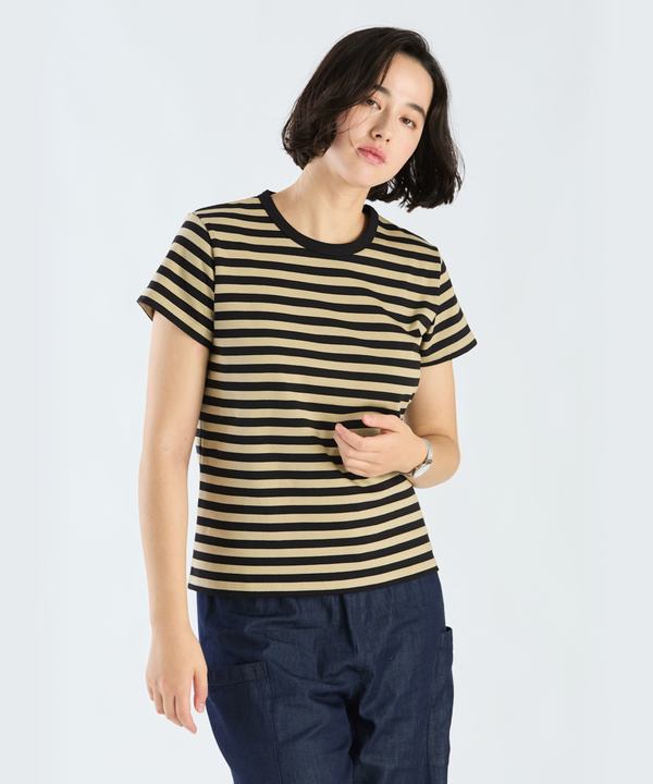 細ボーダー コットン 半袖Tシャツ "Brando"