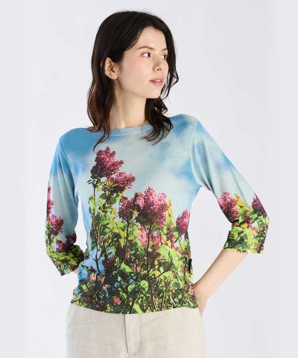 t[vg VN l 7 gbvX "Lila"