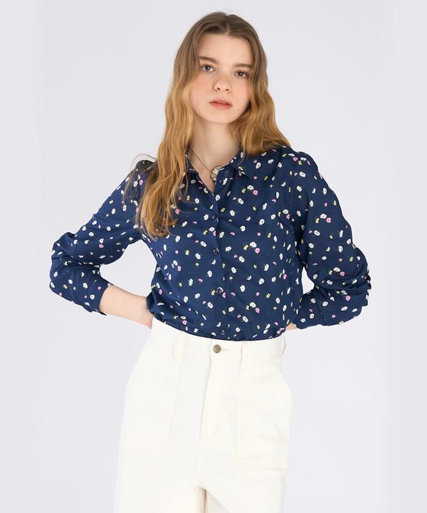 �t�����[�v�����g �R�b�g�� ���� �u���E�X