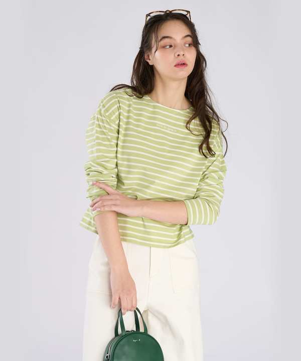 �{�[�_�[ ���S �h�J ���� T�V���c