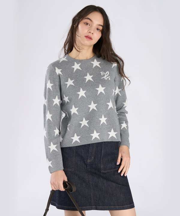 �X�^�[�W���K�[�h�v���I�[�o�[